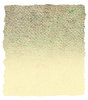 Paper Texture