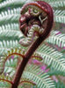 NZ Fern