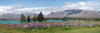 Lake Tekapo