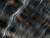 Collagen Texture 2