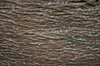 Driftwood Texture 2