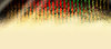 Colour Header