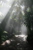 Mystical Path 2