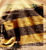 Grunge Fabric