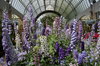 Greenhouse