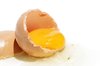 Egg 3
