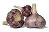 Fresh Garlic 1