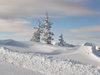 winter scene