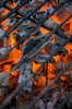 Grill_1