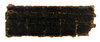 Spine