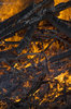 Fire 3