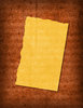 Torn Paper 1