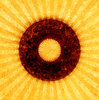 Washer 5