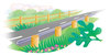 Road