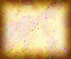 Canvas 72