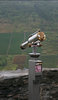 Binoculars 1