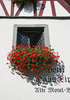 Mosel 6