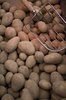 Vegetables 7