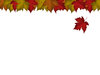 Falling Leaf Card