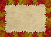 Autumn Leaves Border 2