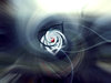 Abstract flower