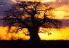 africa sunset 1