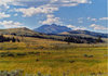 Green plains