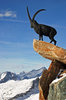 My beloved mountains 2