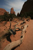 Old West 2