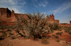 Old West 6