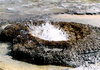 geyser