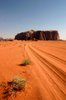 wadi rum 3