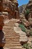 Petra 3