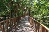 Wooden Walkway