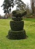 Topiary