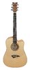 Acoustic Guitar