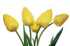yellow tulips 2