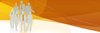 web banner 2