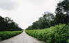 Rural road