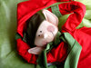 Prepare yourself for Christmas