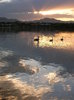 Sunset in the park 3