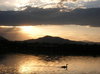 down by the lake 3