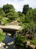 the water garden 3