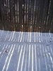 shaddows in the snow 5