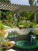 The fountains