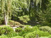 Denver's Asian Garden 1