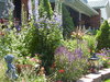 garden in July, 1