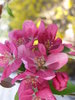 Spring 3