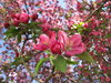 Spring 6