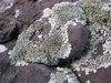 Rocks in General 1